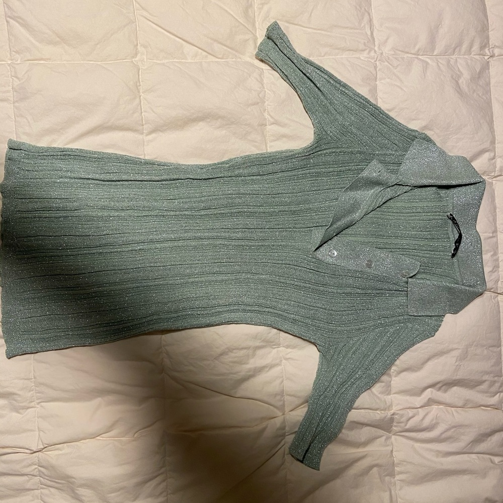 Zara Metallic Polo